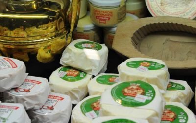 Оборудование для сыроварни