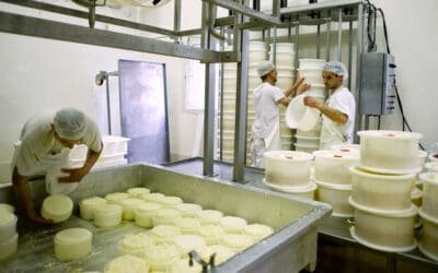 Cельхоз кооперативы