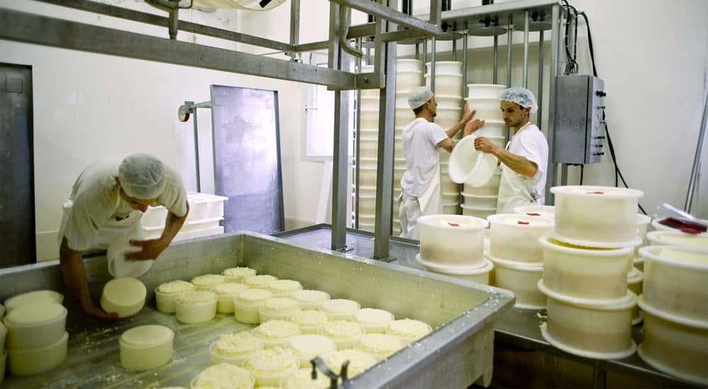 Cельхоз кооперативы