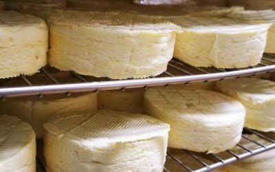 Агрохолдинги