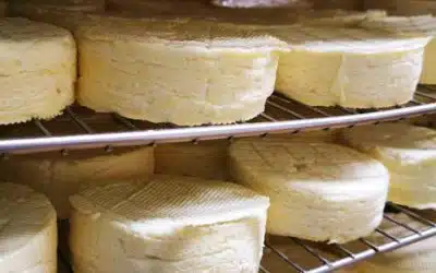 Сыроварня Киевская область Украина