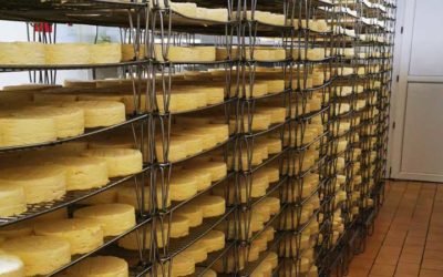 Молзавод США — модульный вариант