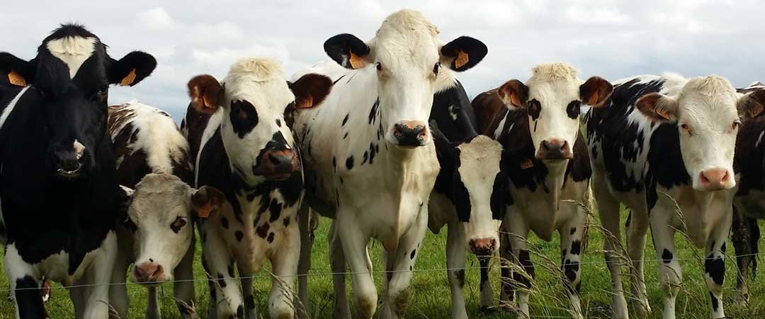 Проектирование Монтаж Запуск